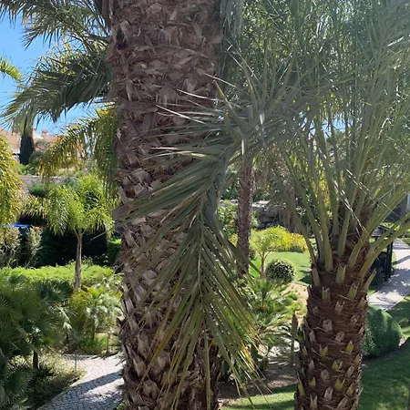 Beautiful 3 Bed In Palmyra Next To Vilasol Golf Course